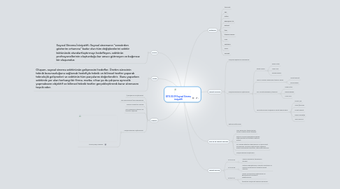 Mind Map: 2013.03.09 Sayısal Sinema İnsiyatifi