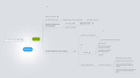 Mind Map: Respiration