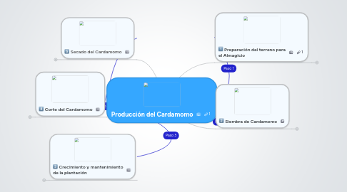 Mind Map: Producción del Cardamomo