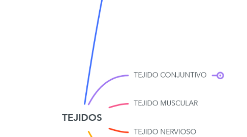 Mind Map: TEJIDOS