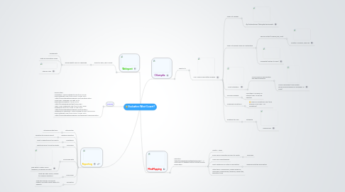 Mind Map: Evaluation: What I Learnt?