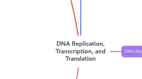Mind Map: DNA Replication, Transcription, and Translation