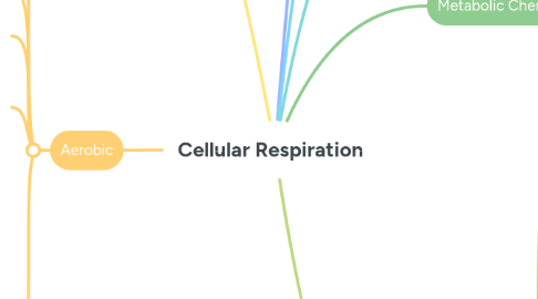 Mind Map: Cellular Respiration
