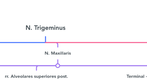 Mind Map: N. Trigeminus