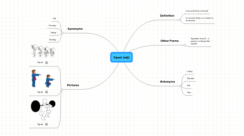 Mind Map: Squat (adj)