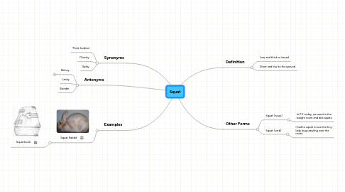 Mind Map: Squat