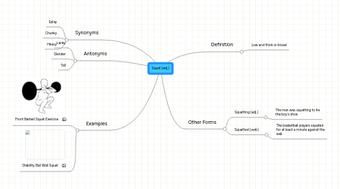 Mind Map: Squat (adj.)