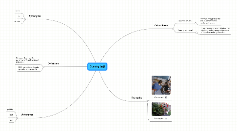 Mind Map: Cunning (adj)