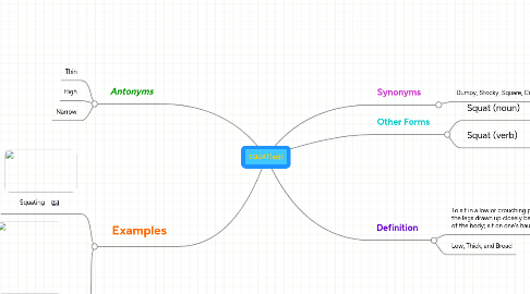 Mind Map: SQUAT(adj)