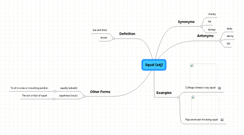 Mind Map: Squat (adj)