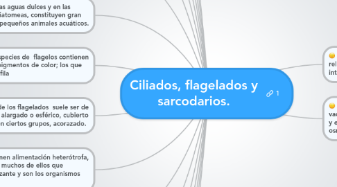 Mind Map: Ciliados, flagelados y sarcodarios.