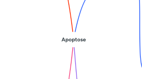 Mind Map: Apoptose