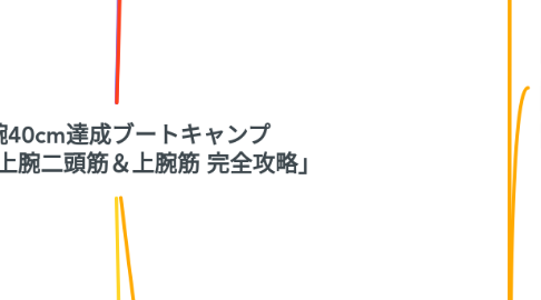Mind Map: 上腕40cm達成ブートキャンプ DAY2「上腕二頭筋＆上腕筋 完全攻略」
