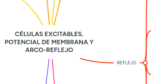 Mind Map: CÉLULAS EXCITABLES, POTENCIAL DE MEMBRANA Y ARCO-REFLEJO