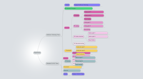 Mind Map: Project format