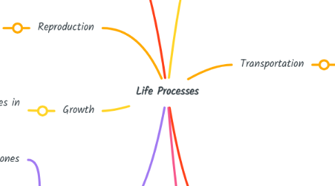 Mind Map: Life Processes