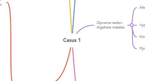 Mind Map: Casus 1