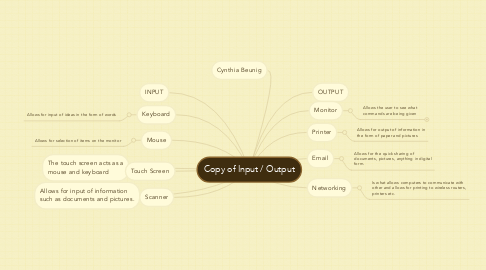 Mind Map: Copy of Input / Output