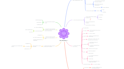Mind Map: Visie Workshop