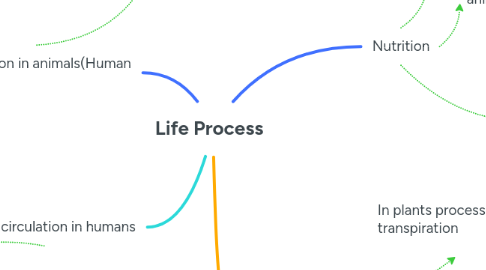 Life Process | MindMeister Mind Map