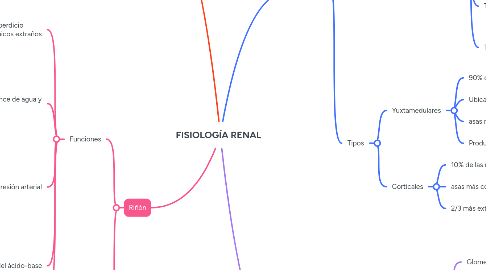 Mind Map: FISIOLOGÍA RENAL
