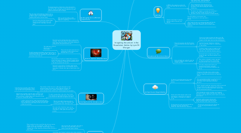 Mind Map: Imagining the unborn in the Ecuadorian Andes: by Lynn M. Morgan