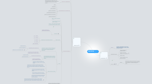 Mind Map: MAPA MENTAL