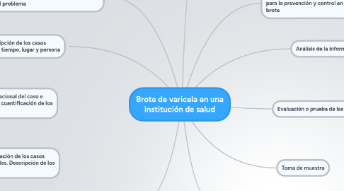 Mind Map: Brote de varicela en una institución de salud