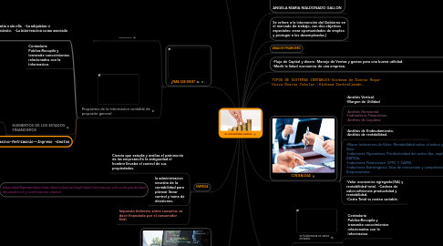 Mind Map: la contabilidad pública