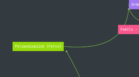 Mind Map: LIFE