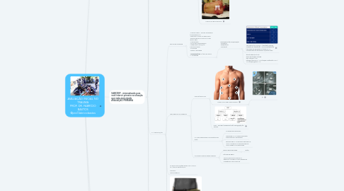 Mind Map: AVALIAÇÃO INICIAL NO TRAUMA PROF. DR. FABRÍCIO BASTOS @prof.fabriciobastos