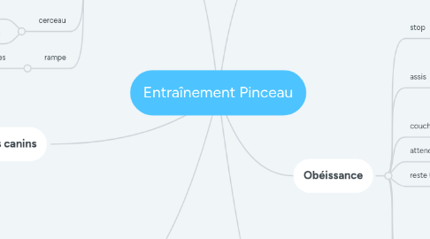 Mind Map: Entraînement Pinceau