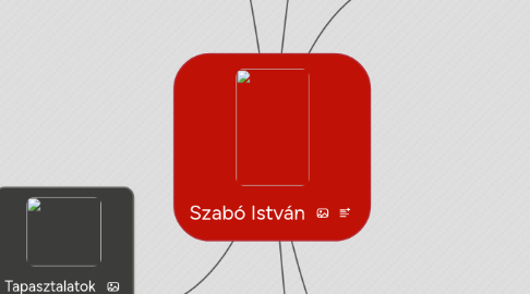 Mind Map: Szabó István