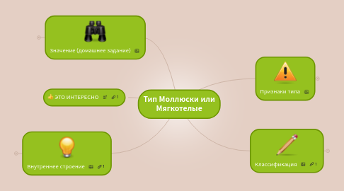 Mind Map: Тип Моллюски или Мягкотелые