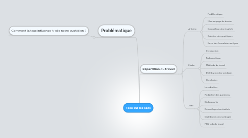 Mind Map: Taxe sur les sacs