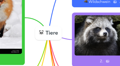 Mind Map: Tiere