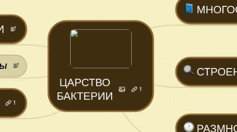 Mind Map: ЦАРСТВО БАКТЕРИИ