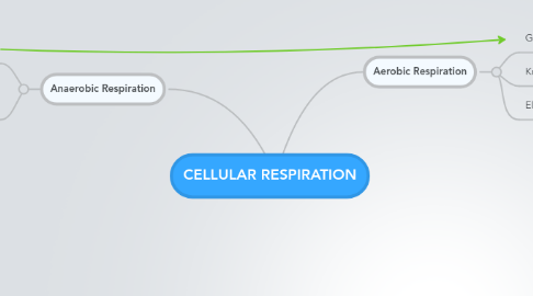 Mind Map: CELLULAR RESPIRATION