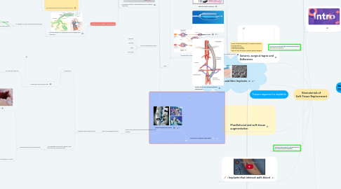 Mind Map: Biomaterials of Soft Tissue Replacement