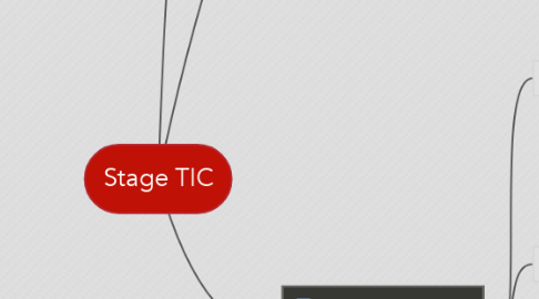 Mind Map: Stage TIC