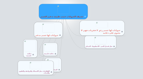 Mind Map: تصنيف الحيوانات حسب طبيعه تدعيم الجسم