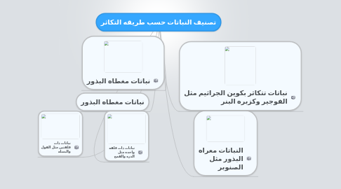 Mind Map: تصنيف النباتات حسب طريقه التكاثر