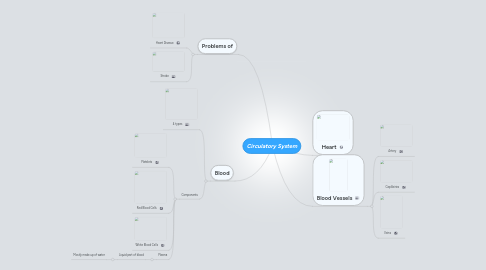 Mind Map: Circulatory System