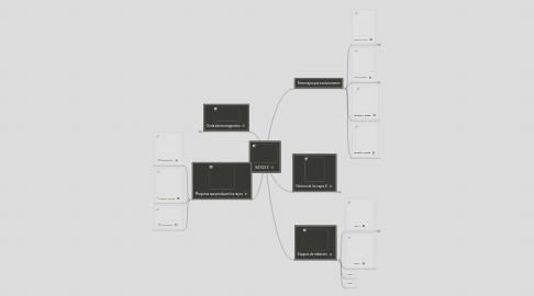 Mind Map: RAYOS X