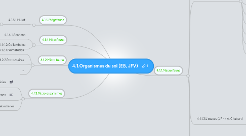 Mind Map: 4.1.Organismes du sol (EB, JFV)