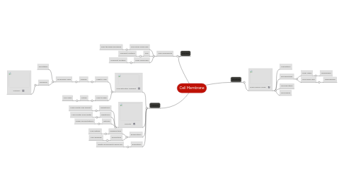 Mind Map: Cell Membrane