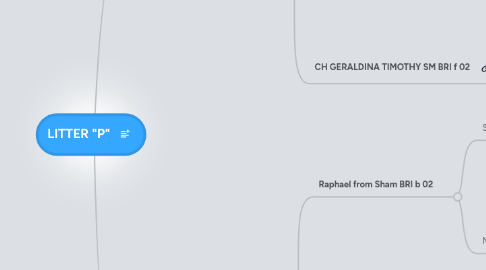 Mind Map: LITTER "P"