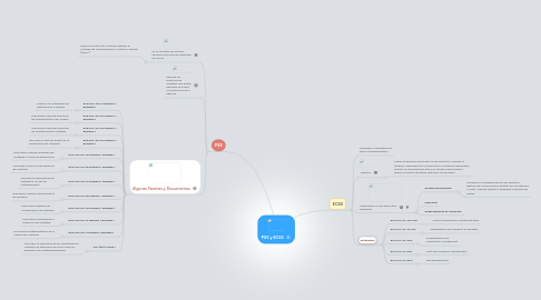 Mind Map: PSS y ECSS