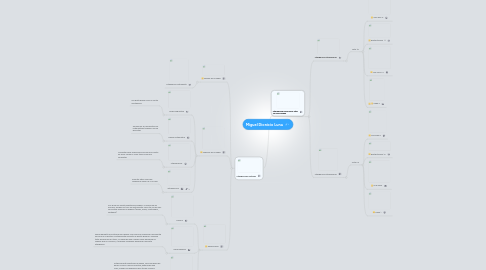 Mind Map: Miguel Dionicio Luna