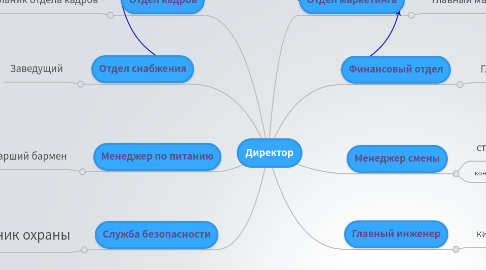 Mind Map: Директор